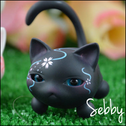 Sebby